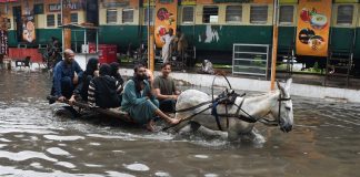 Flood in pakistan 1000 dead