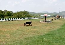 Trishulia Ghat view point