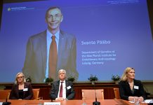 Swedish Nobel Prize in Medicine to Svante Pabo