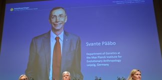 Swedish Nobel Prize in Medicine to Svante Pabo