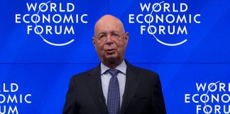 India a bright spot in global crisis: WEF