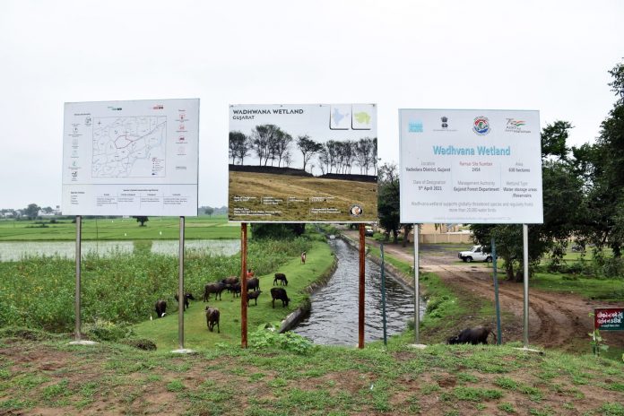 4 wetlands in Gujarat have been given 'Ramsar site' status to protect unique ecosystems