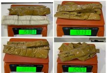From Ahmedabad International Airport Stolen gold worth Rs 2.61 crore seized