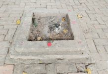 Couple sacrificing their head in Havan Kund in Rajkot's beach