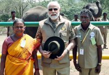 Modi met Bomman and Bailey at Theppakdu Elephant Camp