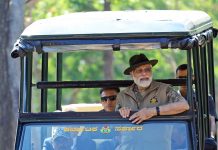Modi enjoyed a jungle safari in a tiger reserve in Karnataka