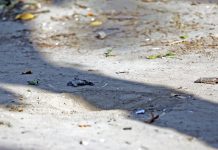 Third explosion in a week near Golden Temple in Amritsar