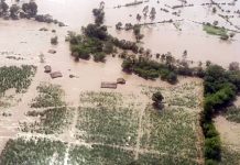 હિમાચલમાં ભારે વરસાદ અને ભૂસ્ખલથી 75ના મોત