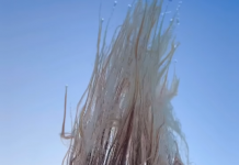 સ્વીડનમાં -30 ડિગ્રી ઠંડીમાં મહિલાના વાળ થીજી ગયા