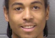 શિકાગો નજીક બે ઘરોમાં ફાયરિંગમાં સાતના મોત