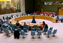 ભારતે યુએનમાં G4 દેશોનો સુધારા પ્રસ્તાવ રજૂ કર્યો