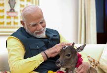 વડાપ્રધાન મોદીના ઘેર નવા મહેમાન ‘દીપજ્યોતિ’નું આગમન