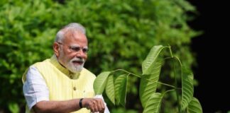 કિંગ ચાર્લ્સ