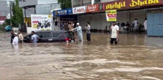 સિઝન