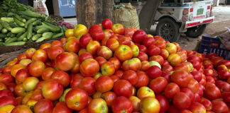 પાકિસ્તાન