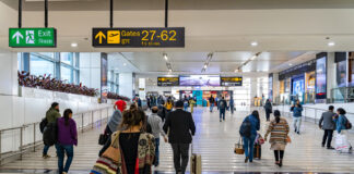 ટ્રાન્સપોર્ટ