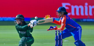 ક્રિકેટ