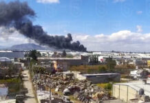 મેક્સિકોમાં સ્મોલ વિમાન તૂટી પડતાં સાતના મોત