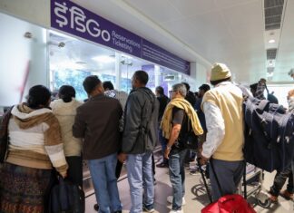 ઇન્ડિગો