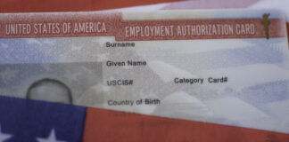 વર્ક પરમિટ