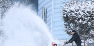 અમેરિકા