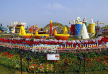 અમદાવાદ ઇન્ટરનેશનલ ફ્લાવર શોમાં બે વર્લ્ડ રેકોર્ડ સર્જાયા