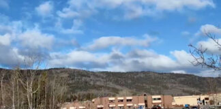 ફાયરિંગ