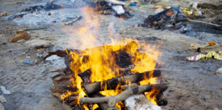 આફ્રિકા